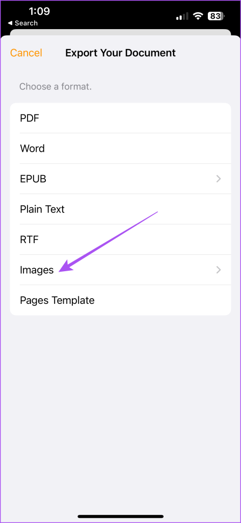 Export document to images in Pages app on iPhone 
